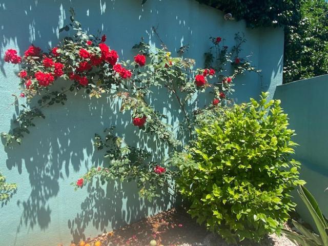 Willa Serralves Blue House Porto Zewnętrze zdjęcie